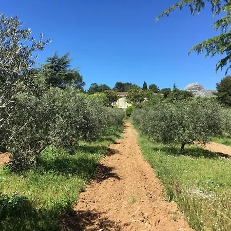 Provence Dans Domaine Oleicole Guest house