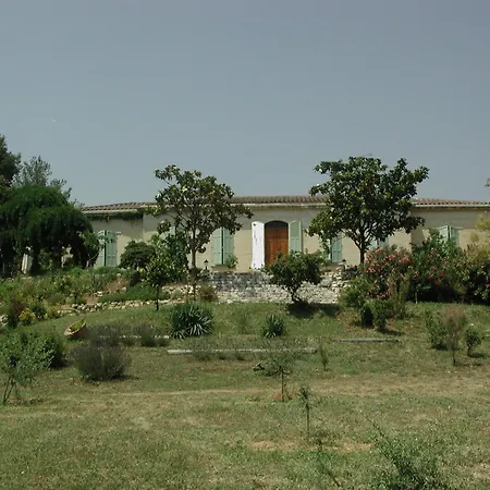 Provence Dans Domaine Oleicole Aubagne