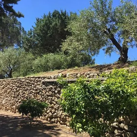 Guest house Provence Dans Domaine Oleicole *