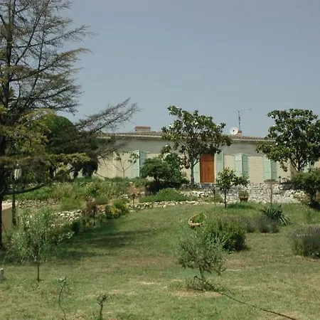 Provence Dans Domaine Oleicole