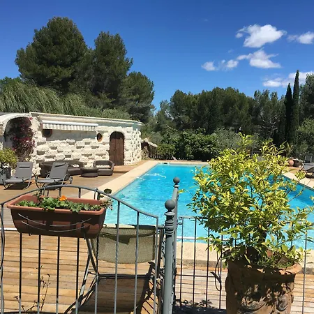Provence Dans Domaine Oleicole *
