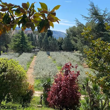 Provence Dans Domaine Oleicole Guest house Aubagne