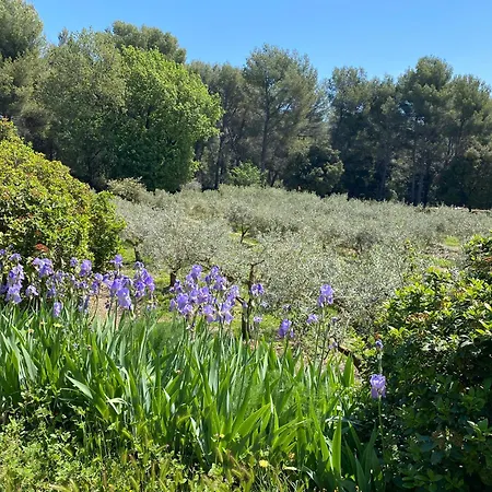 Guest house Provence Dans Domaine Oleicole *